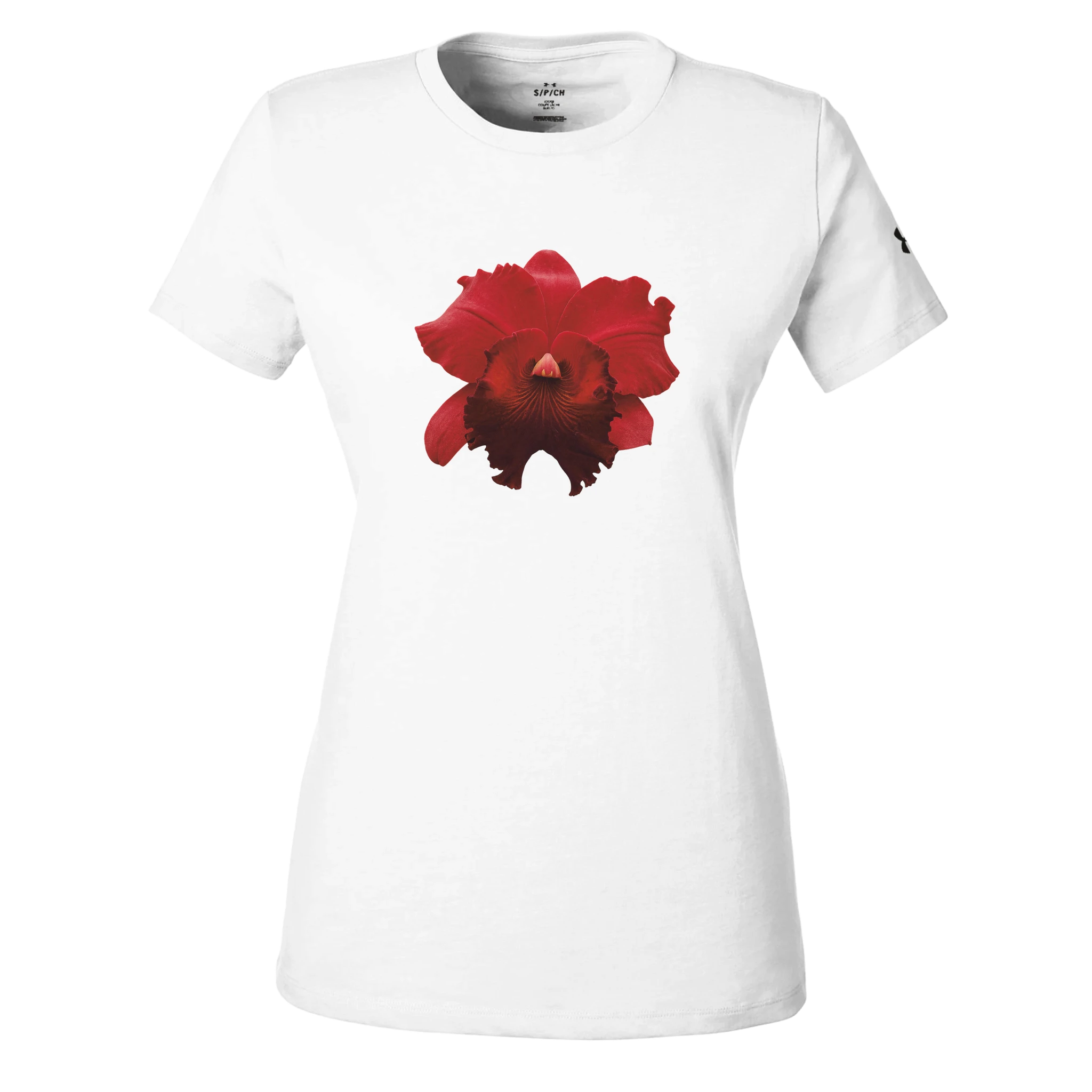 1a839a44-e7e5-4d8f-ad18-a1bbc1e40ae0