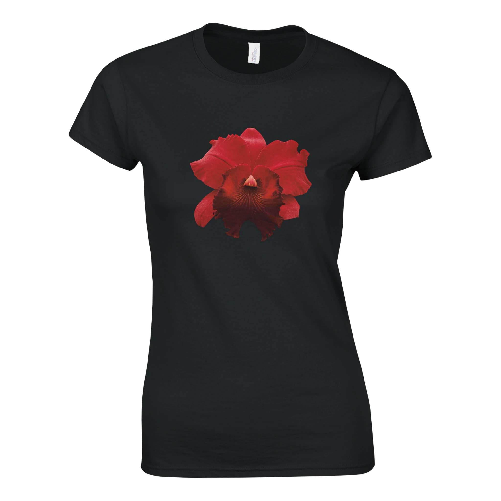 a06de690-e995-4963-808c-dfec1e112733