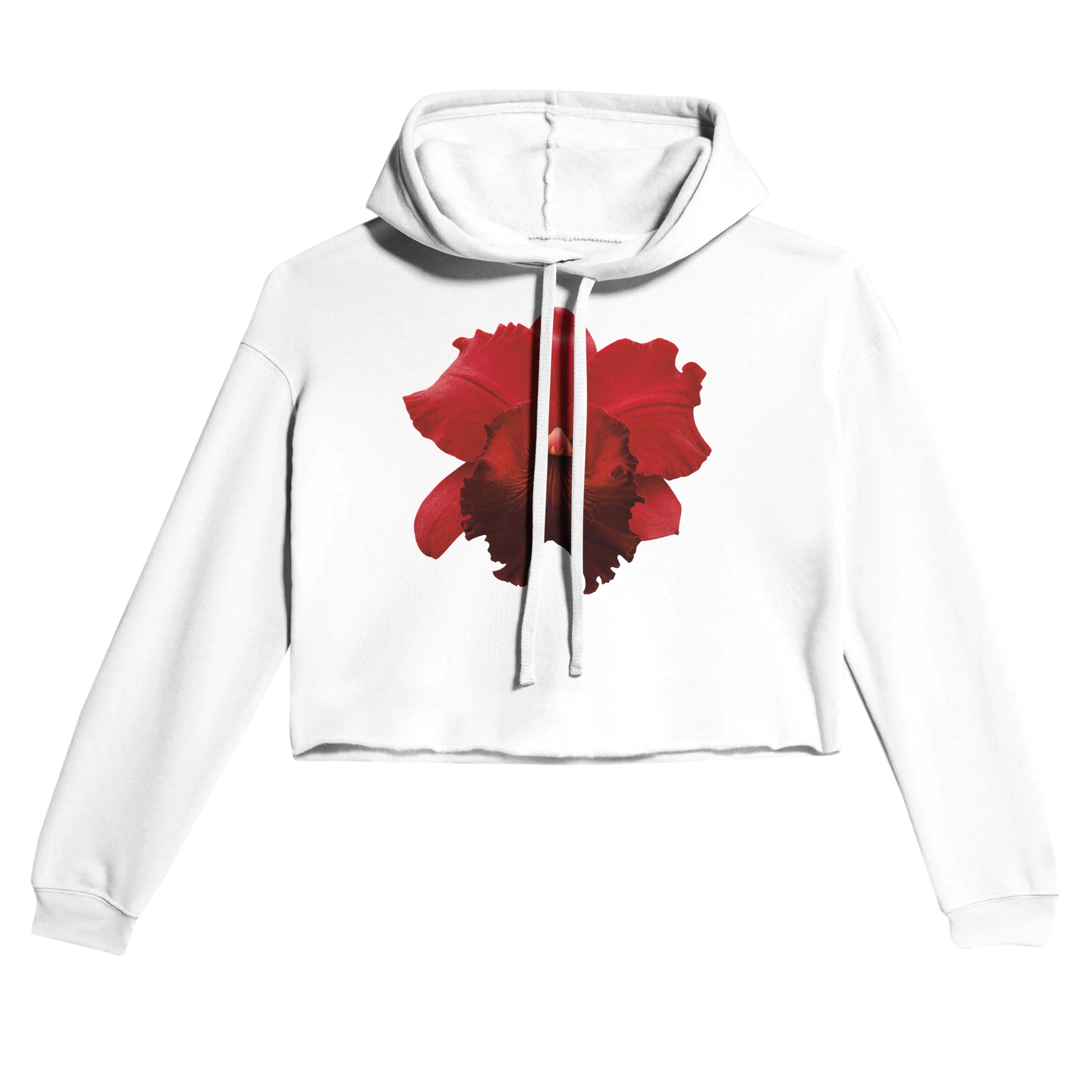 ff8fb3b1-2d55-4c30-83e3-2c17a78eb509